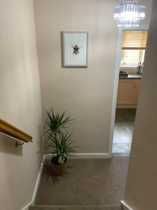Home From Home, 3 Bedroom House In Hawick Exterior photo